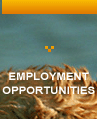 EMPLOYMENT OPPORTUNITIES