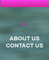  ABOUT US / CONTACT US