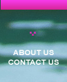  ABOUT US / CONTACT US